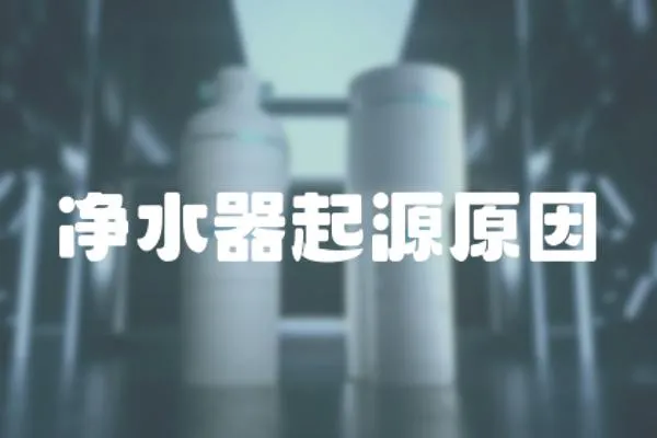 凈水器起源原因