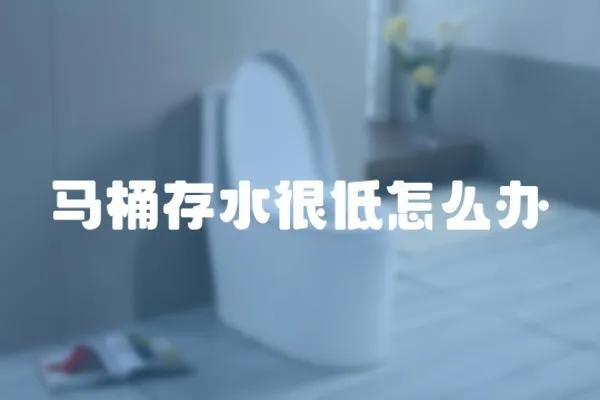 馬桶存水很低怎么辦
