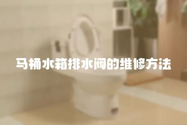馬桶水箱排水閥的維修方法
