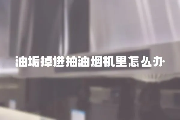 油垢掉進(jìn)抽油煙機(jī)里怎么辦