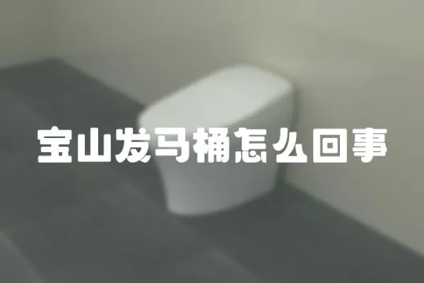 寶山發馬桶怎么回事