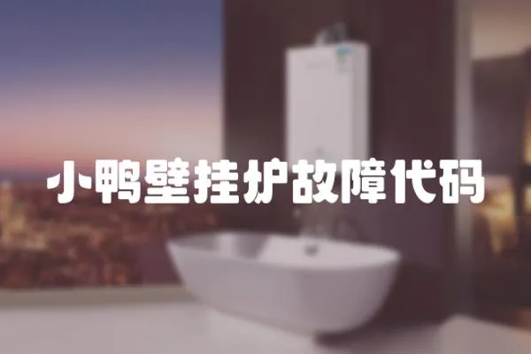 小鴨壁掛爐故障代碼