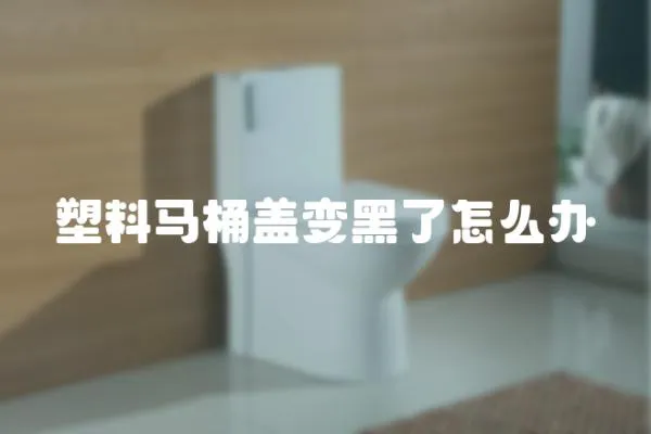 塑料馬桶蓋變黑了怎么辦