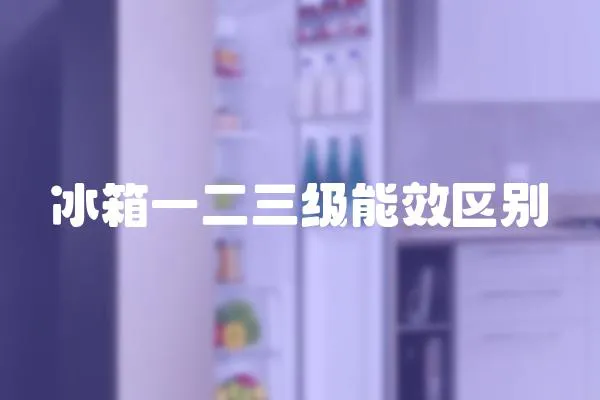 冰箱一二三級能效區別