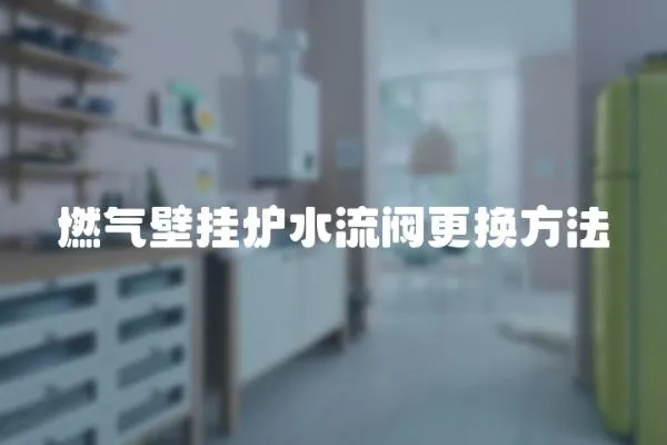 燃?xì)獗趻鞝t水流閥更換方法