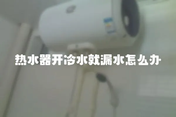 熱水器開(kāi)冷水就漏水怎么辦
