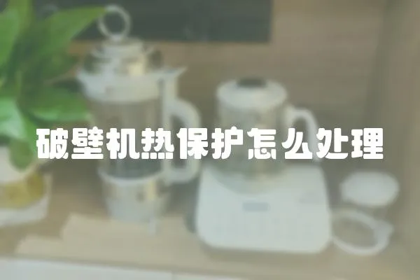 破壁機(jī)熱保護(hù)怎么處理