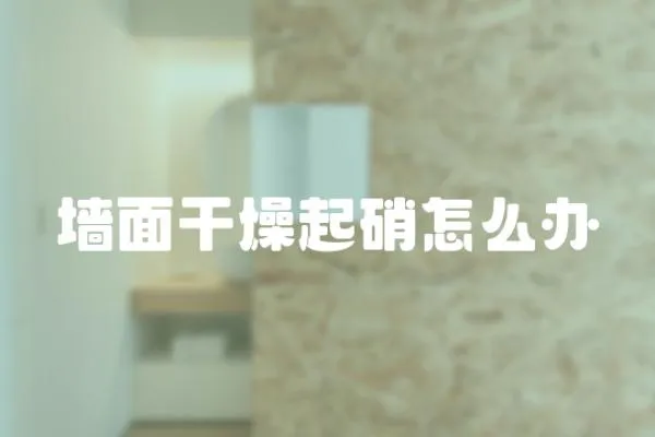 墻面干燥起硝怎么辦