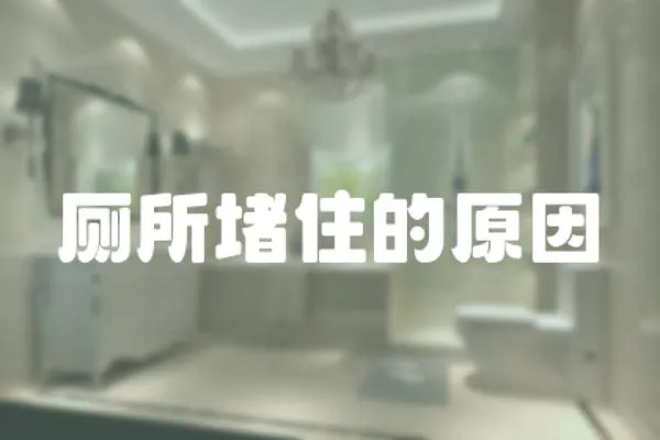 廁所堵住的原因