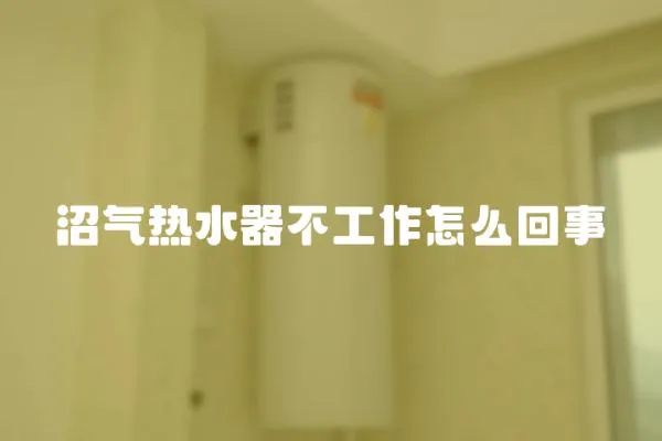沼氣熱水器不工作怎么回事