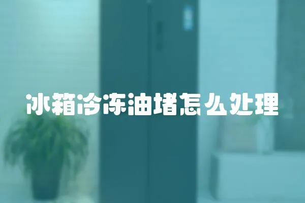 冰箱冷凍油堵怎么處理