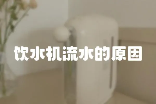 飲水機(jī)流水的原因