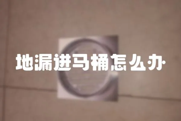 地漏進馬桶怎么辦