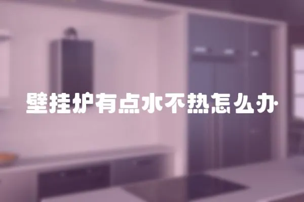 壁掛爐有點水不熱怎么辦