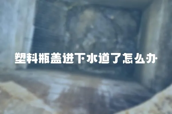 塑料瓶蓋進下水道了怎么辦