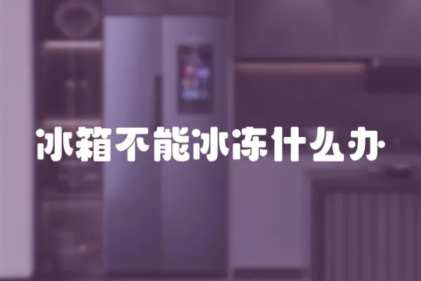 冰箱不能冰凍什么辦