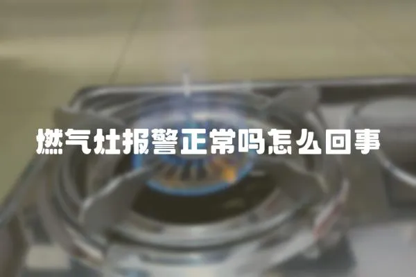 燃?xì)庠顖缶嵩趺椿厥?></a></div>
                    <div   id=