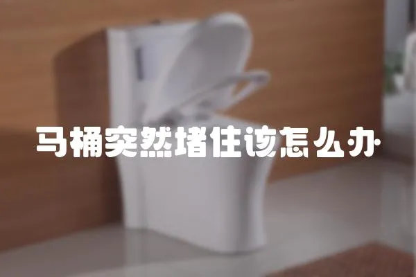 馬桶突然堵住該怎么辦