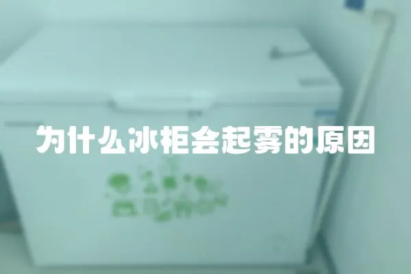 為什么冰柜會起霧的原因