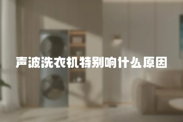 聲波洗衣機特別響什么原因