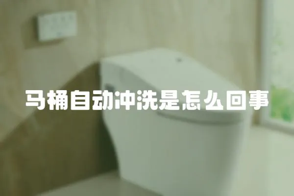 馬桶自動沖洗是怎么回事