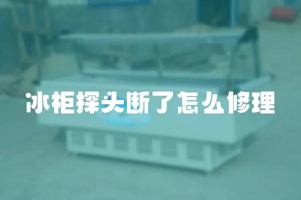 冰柜探頭斷了怎么修理