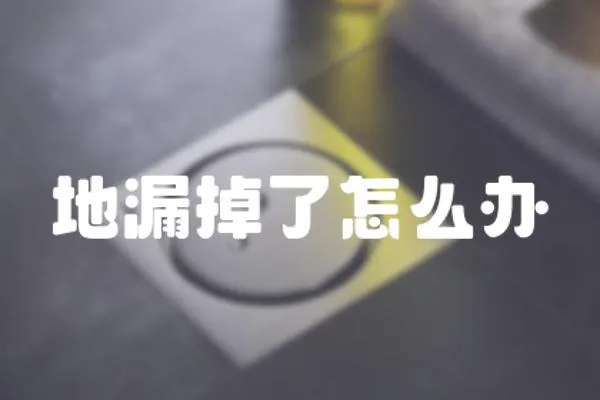 地漏掉了怎么辦