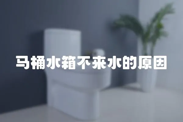馬桶水箱不來水的原因