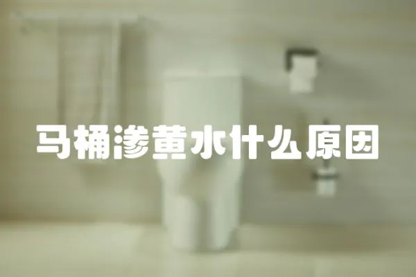 馬桶滲黃水什么原因
