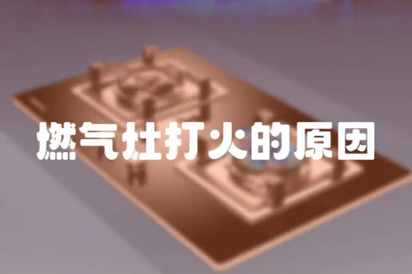 燃?xì)庠畲蚧鸬脑? loading=