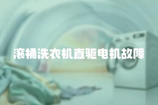 滾桶洗衣機直驅電機故障