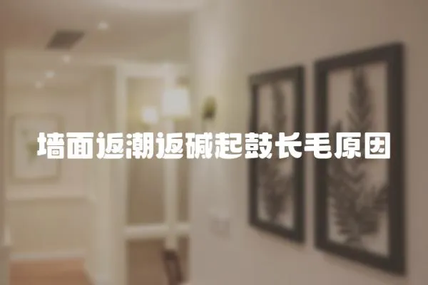 墻面返潮返堿起鼓長毛原因