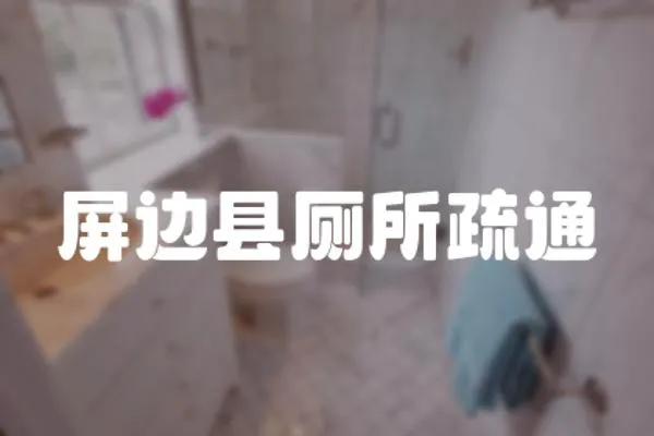 屏邊縣廁所疏通