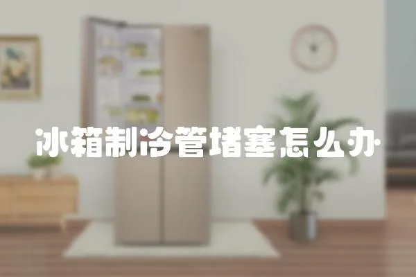 冰箱制冷管堵塞怎么辦