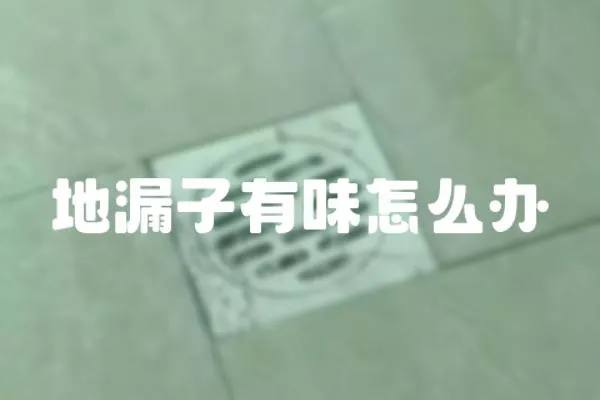 地漏子有味怎么辦