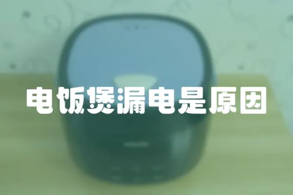 電飯煲漏電是原因