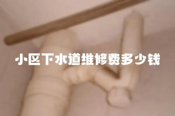 小區下水道維修費多少錢