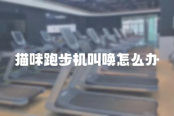 貓咪跑步機叫喚怎么辦