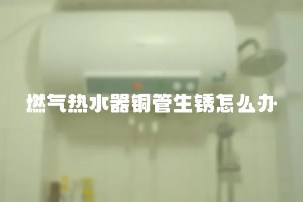 燃氣熱水器銅管生銹怎么辦