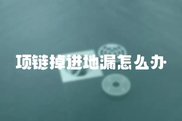 項鏈掉進地漏怎么辦