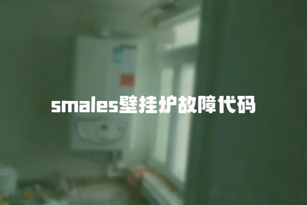 smales壁掛爐故障代碼