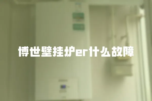 博世壁掛爐er什么故障