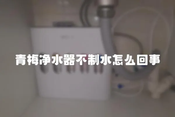 青梅凈水器不制水怎么回事