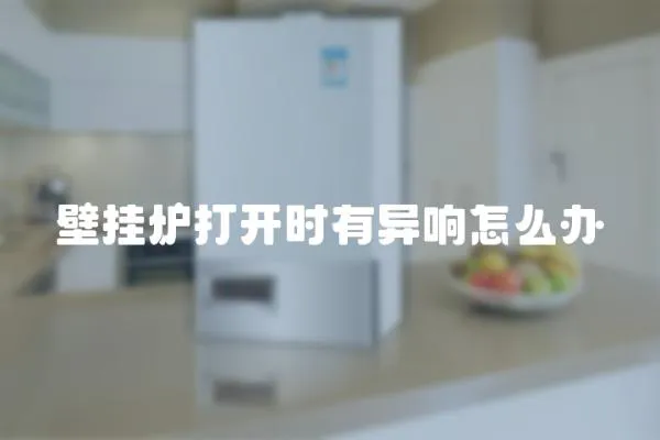 壁掛爐打開時有異響怎么辦