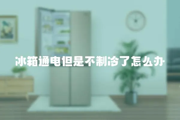 冰箱通電但是不制冷了怎么辦