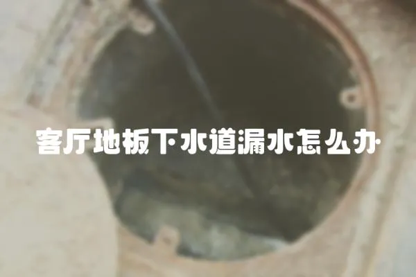 客廳地板下水道漏水怎么辦
