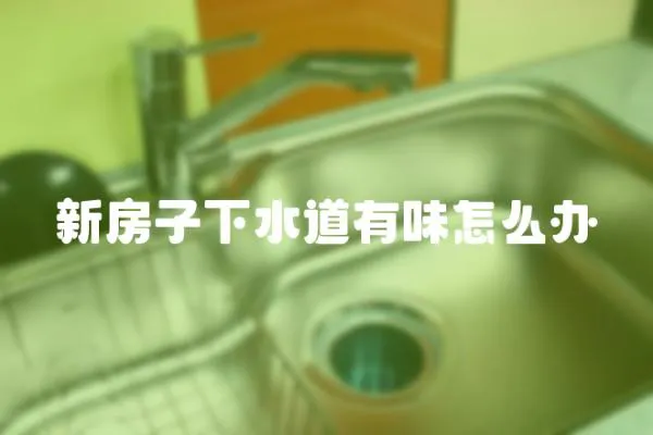 新房子下水道有味怎么辦