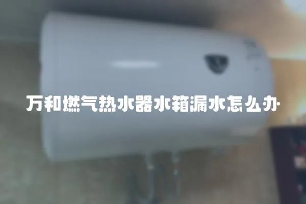 萬和燃氣熱水器水箱漏水怎么辦