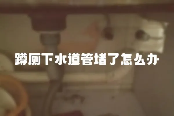 蹲廁下水道管堵了怎么辦