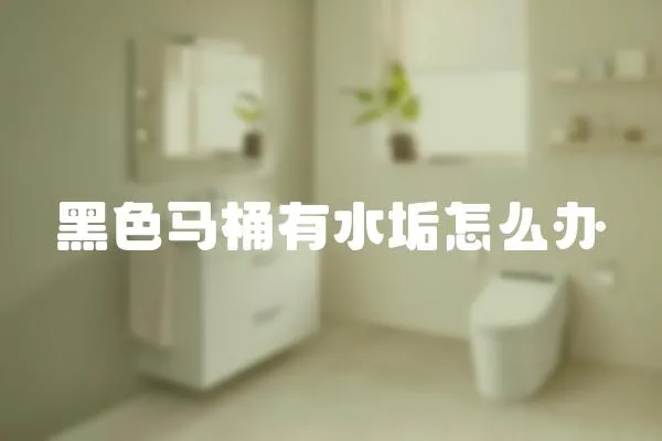 黑色馬桶有水垢怎么辦